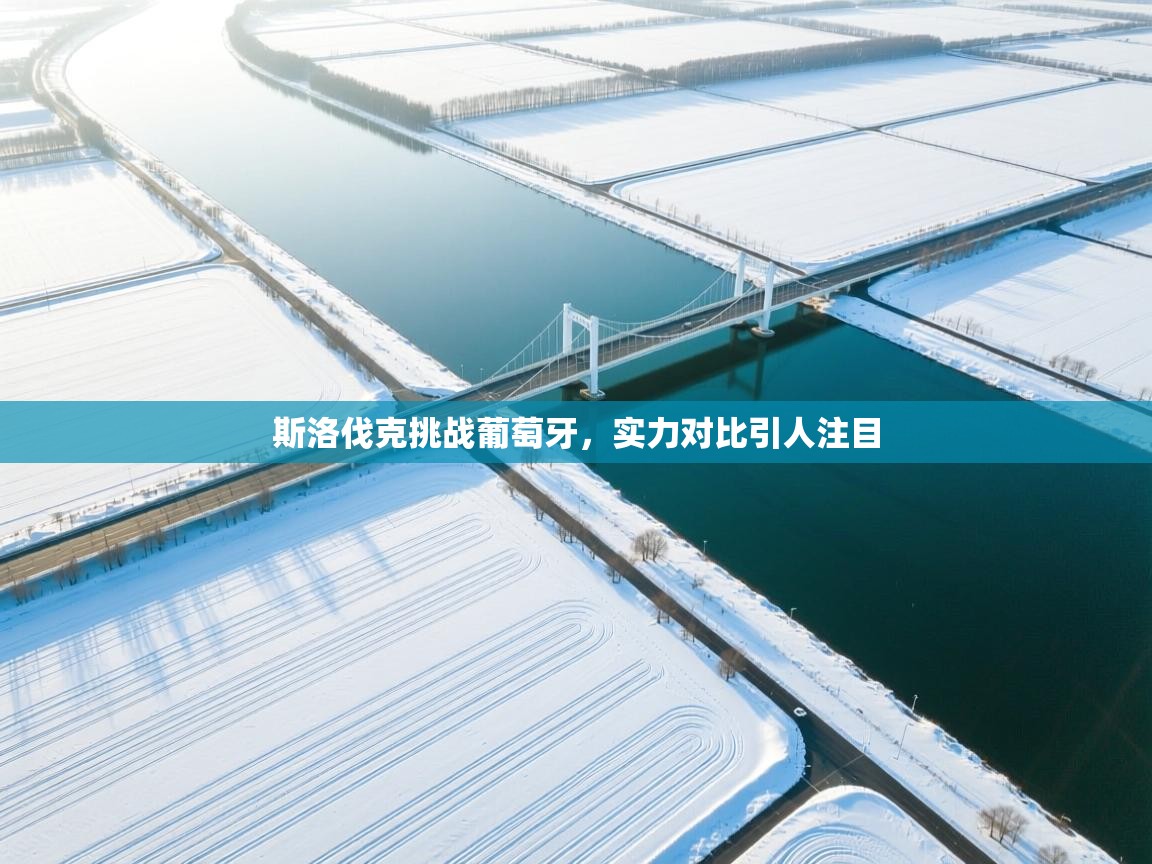 斯洛伐克挑战葡萄牙，实力对比引人注目  第1张